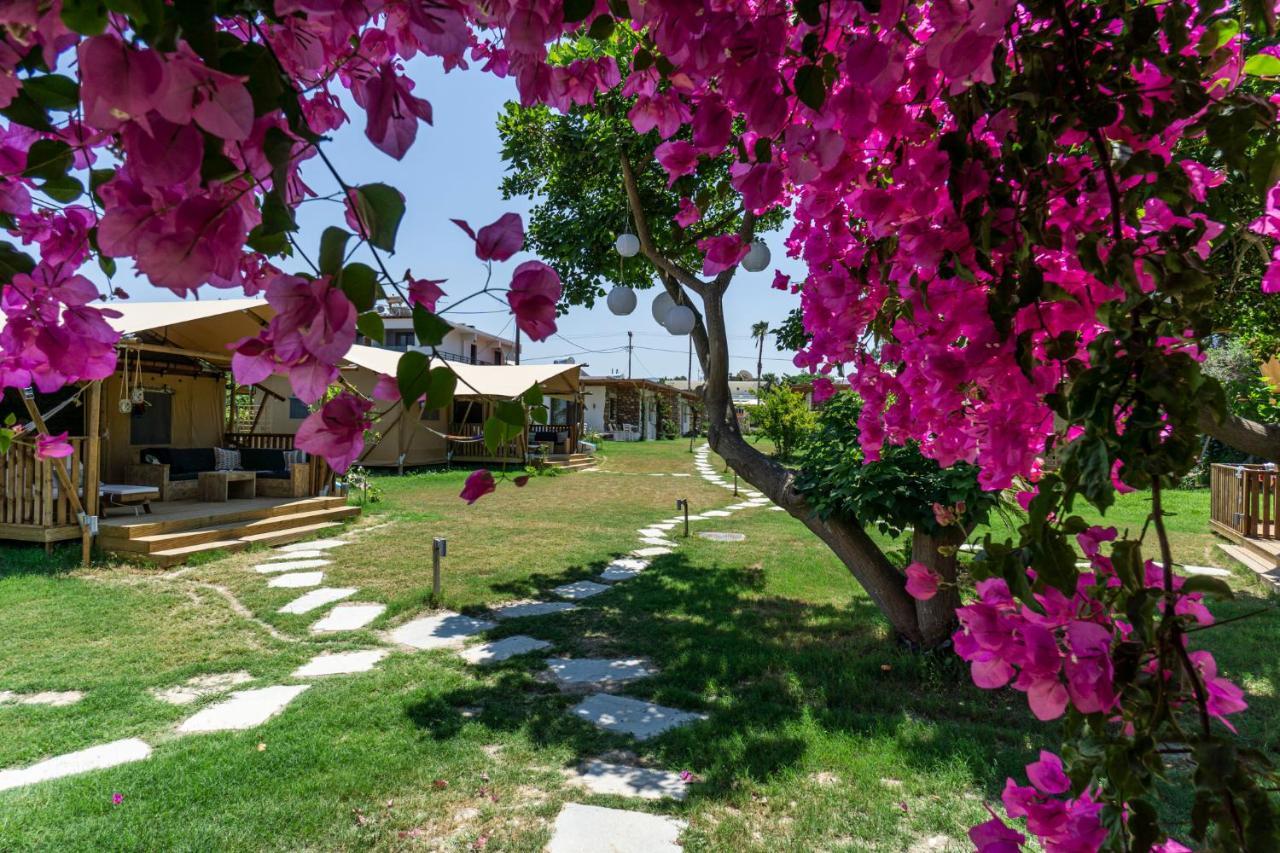 Logos Beach Village Theológos 外观 照片